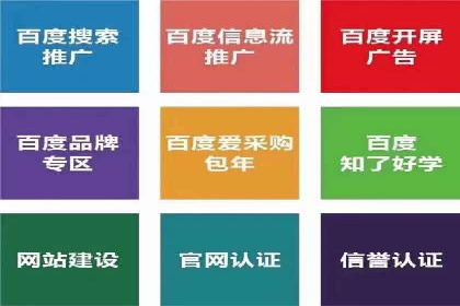某企业通过抖音信息流广告实现品牌突破的案例